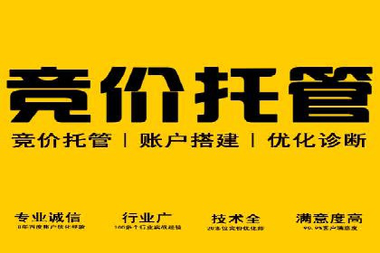 搜索引擎竞价推广实战：行业领先企业的成功秘诀